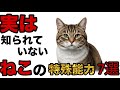 猫が「ニャー」と鳴くのは人間への罠だった。科学が暴いた、人類を支配する7つの手口