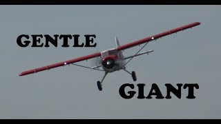 GIANT FMS DH2 Beaver V2 2000mm (78.7') PNP Reflex gyro Combo Flight review by Pilot Robert