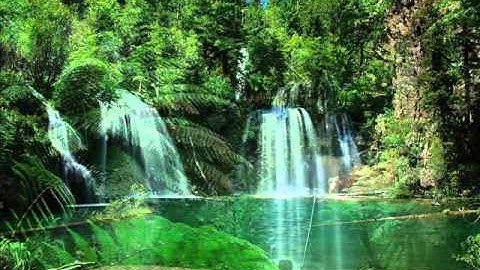 سورة التغابن بصوص القرئ بشير