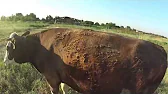 Семья в деревне!