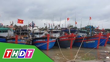 TP.HCM: Thông báo khẩn tàu thuyền trú tránh trước áp thấp nhiệt đới | THDT