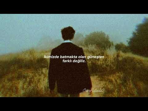 Tamer - Beautiful