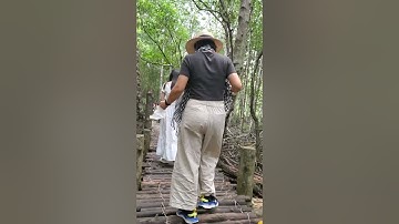 Khu Căn Cứ Cách Mạng Rừng Sác - Cần Giờ #vecoinguon