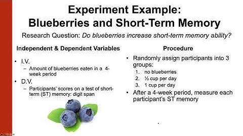 Research Methods: Experimental Designs