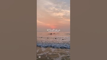 سورة آل عمران 🤍🌹 #قران_كريم #ناصر_القطامي #العرب #راحة_نفسية #سورة_آل_عمران قرآن