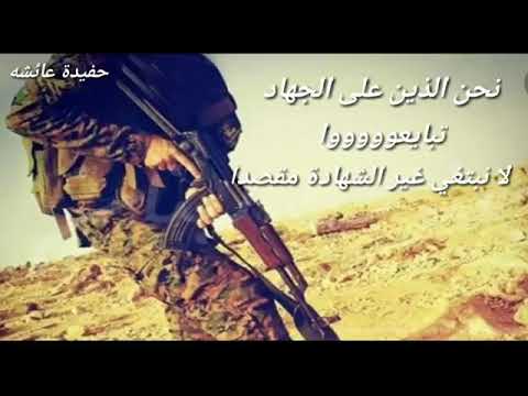 حين تستقيم العقيدة في قلوبنا ستستقيم امتنا على طريق النصر خواطر مجاهد