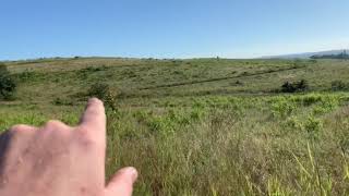 Springvale Country Estate - Plot 564