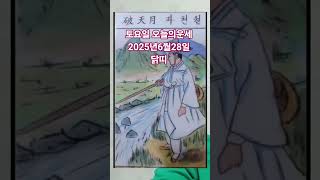 닭띠 오늘의운세 2025년6월28일 운세 #운세 #오늘의운세 #닭띠운세