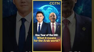 One Year of the GGI: What it means for the Arab world