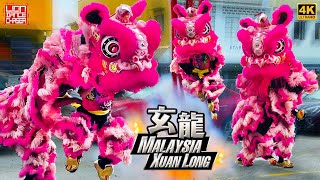 Lion Dance by Malaysia Xuan Long 马来西亚玄龙 @ Sea Park, Petaling Jaya 粉红双狮 开张贺庆 醒狮採青 炮声震天 鼓乐助庆