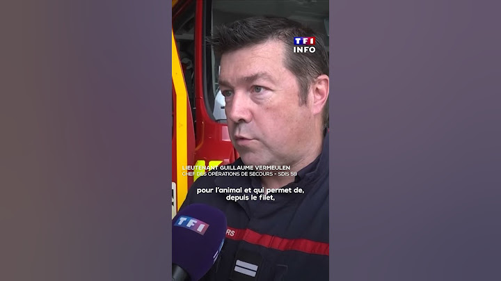 Fin de cavale pour l'un des deux wallabies en fuite entre la France et la Belgique !｜TF1 INFO