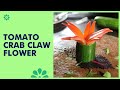Beautiful tomato crab claw flower   chef techniques