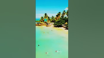 سورة التوبة و،.كا.نك تسمعها لأ،؛و.ل مر.ة💔،؛🌸❣️🏵️،؛💛🌼💟بصوت الشيخ حمزة مد،بو.ح 🧡💓،.💜❤️..🌷💗💐