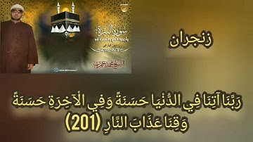 محمد عمران والإبداع في سورة البقرة