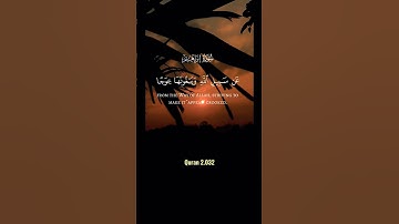 سورة إبراهيم #quran #اكسبلور