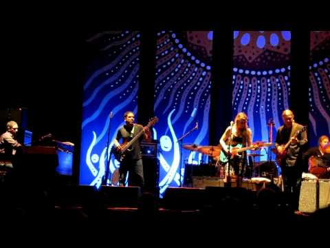 Tedeschi Trucks Band ~ Shrimp And Grits (Interlude...