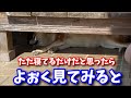 【柴犬】もっちゃんが泣いていました！