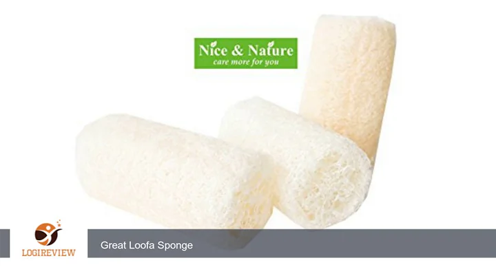 3 Natural Loofa Exfoliating Bath Sponge 5 ” , Luffa Back Scrubber, Luffa Body Washer, Natural Loofah