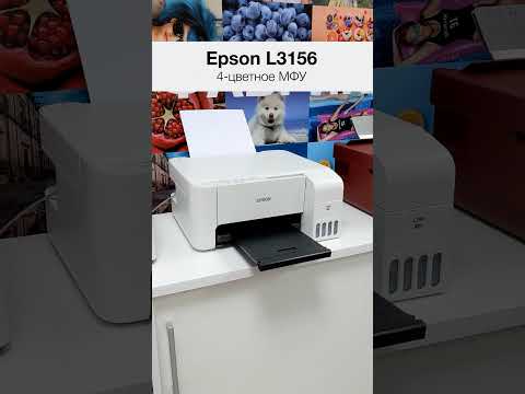 Как подключить смартфон или планшет к МФУ Epson без ЖК-экрана по Wi-Fi Direct