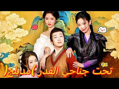 تحت جناحي القدر 