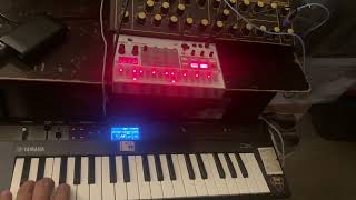 # 11 Behringer Wasp 🐝 Synth &amp; Korg Volca Sample 2 Music Idea 💡