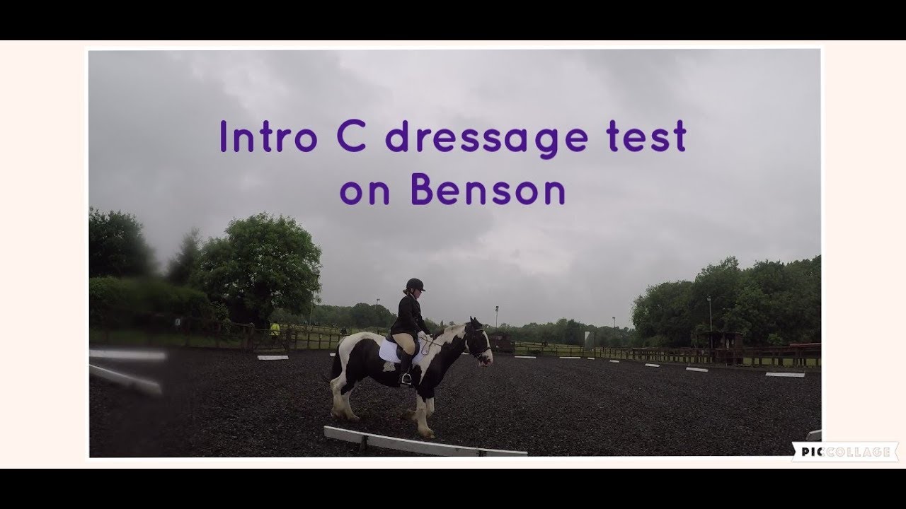Intro C dressage test 10.6.19 YouTube Intro C dressage test 10.6.19 YouTube