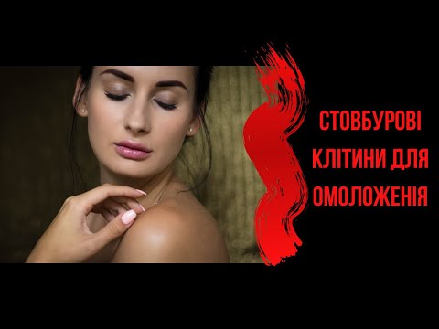 Стовбурові клітини для омоложенія- панацея чи маркетинг?