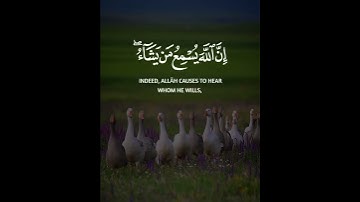 تلاوات خاشعة لجميع القرآء على قناة تلاوات خاشعة وتلاوات هادئه #تلاوات #خاشعة #قرآن #تلاوات_هادئه (3)