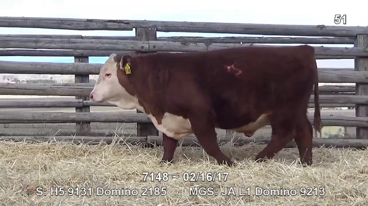 Lot 51 ~ H5 2185 Domino 7148 ET