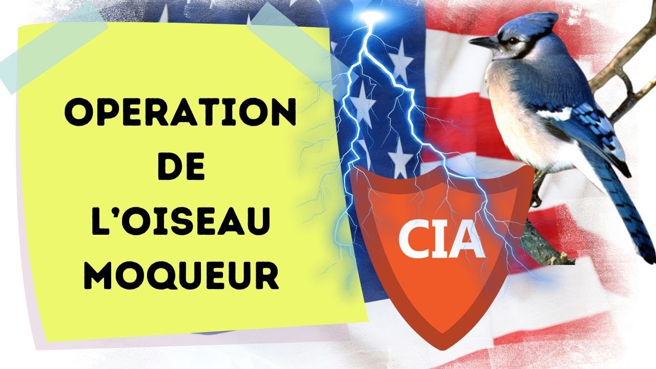 LOiseau Moqueur   Plonge au Cur de lOpration Secrte qui a Secou les Mdias aux USA