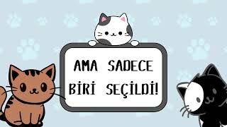 KEDİ İSMİ
