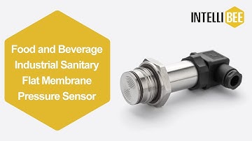 AP27 Food and Beverage Industrial Sanitary Flat Membrane Pressure Sensor and Transmitter