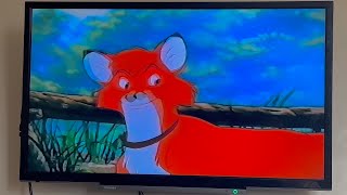 The Fox And The Hound: Adult Tod (iPhone) (With Picture) (1)