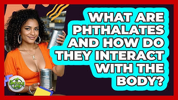 What Are Phthalates And How Do They Interact With The Body? - The Upcycle Lab