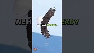 AMAZING GRACE (New Version by Valkey Le Hanie)