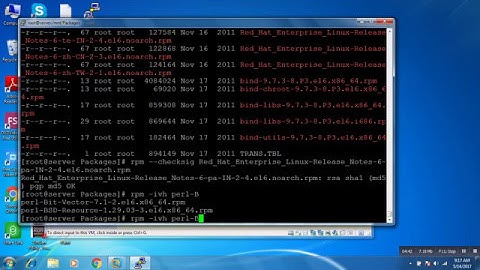 RPM (Red Hat Package Manager)