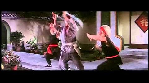 The Praying Mantis vs Wing Chun