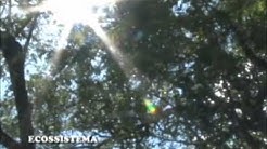 Unai é natureza