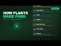 How Photosynthesis Actually Works 🌿 #biology #science
