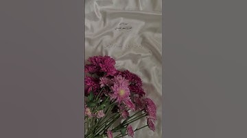 سورة النمل القارئ سعد الغامدي🤍#القرآن_الكريم#سعد_الغامدي#سورة_النمل