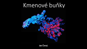 Jak se používají dělení buňky?