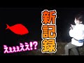 うちの奥さんが僕の記録を超える魚を釣って大パニック!!!!!