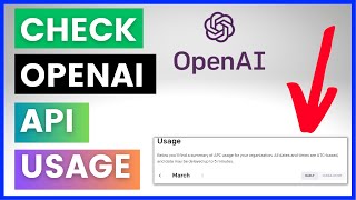 How To Check Your OpenAI API Usage? [in 2023]