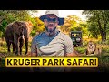 First Time in Kruger 🇿🇦 | Monkeys in My Hotel & Big Five Safari