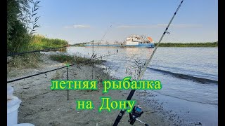 видео: Летняя рыбалка на Каплице в выходной день. Ростовская жара на Дону. Сазанчик и другая рыбка в садке. картинка: Летняя рыбалка на Каплице в выходной день. Ростовская жара на Дону. Сазанчик и другая рыбка в садке.