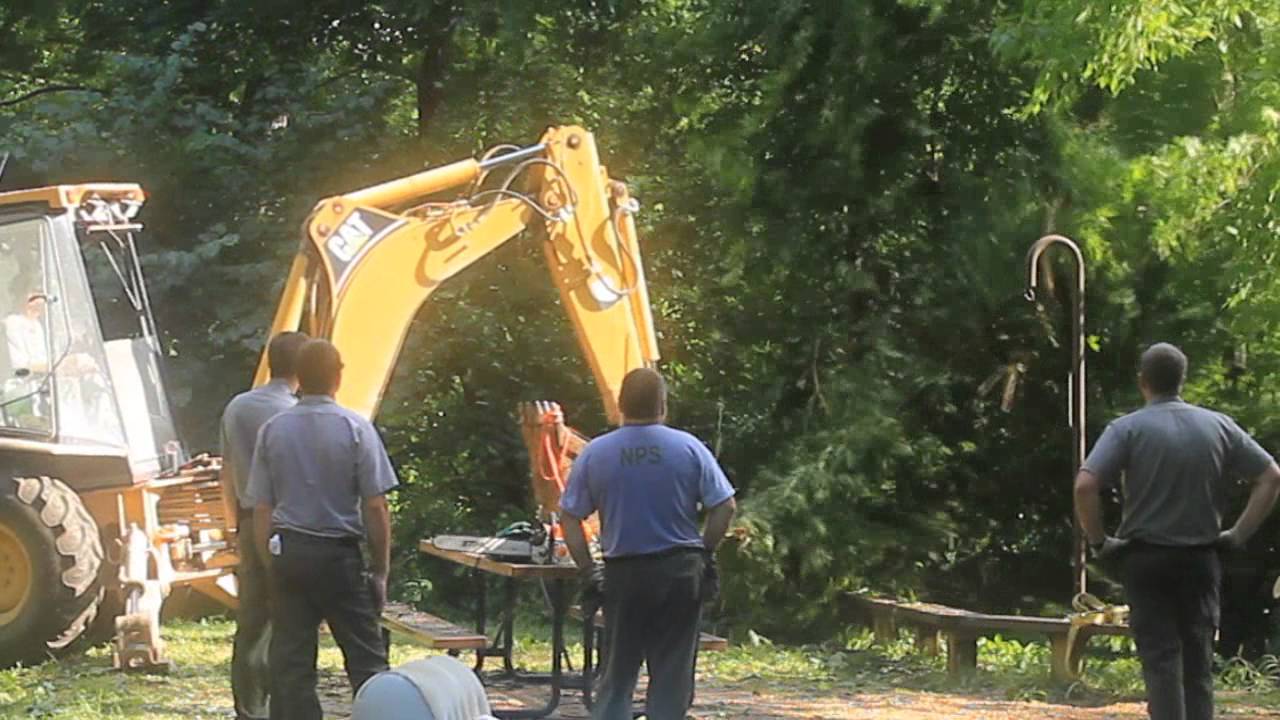 Vlogger or Blogger vs Journalist or Reporter