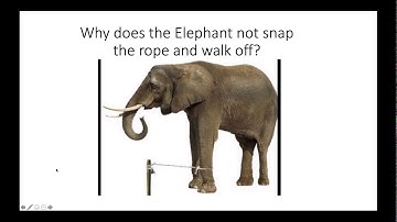 Lead Simplify Webinar Replay