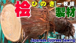 【曲線の原木】ヒノキ原木を製材【木の店さんもく】Japanese Cyprees Sawing