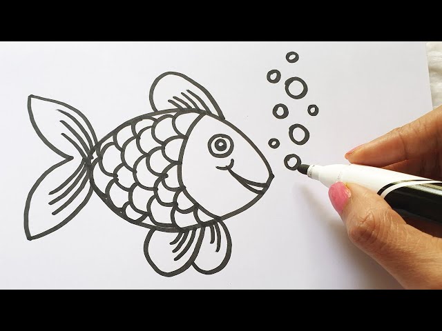 How to Draw a Fish, Easy Fish Drawing Tutorial