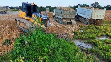 Amazing Powerful Dozer Pushing Soil & Dump Trucks Dumping Soil Build Road Best Processing